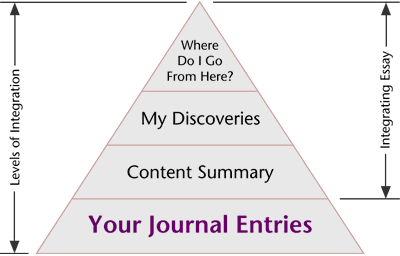 diagram of the profile layout