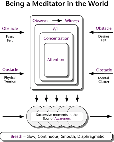 diagram of the meditator dimensions