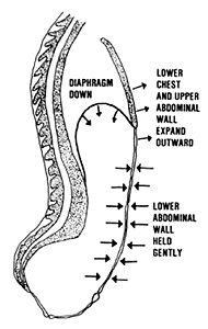 diagram of diaphragmatic breathing