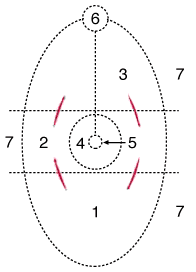 psychosynthesis model diagram