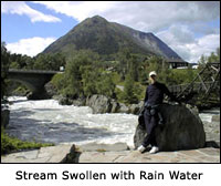 Stream swollen with rain water