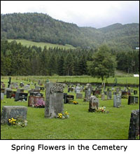 Spring flowers in the church cemetery