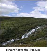 Stream above the tree line