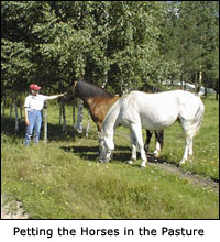 Petting the Horses in the Pasture