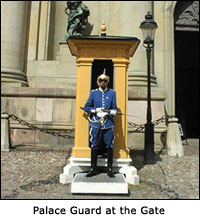 Palace Guard at the Gate